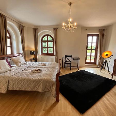 Dogs Resort And Spa Horni Bezdekov 外观 照片