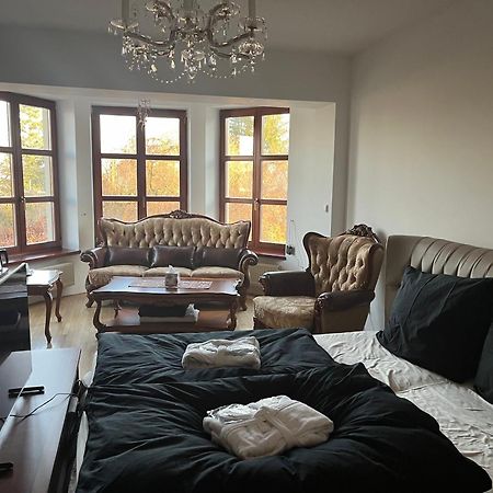 Dogs Resort And Spa Horni Bezdekov 外观 照片