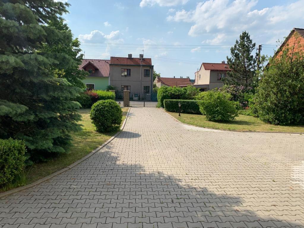 Dogs Resort And Spa Horni Bezdekov 外观 照片