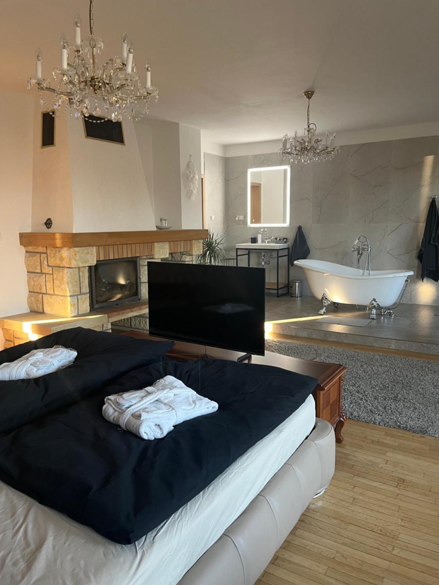 Dogs Resort And Spa Horni Bezdekov 外观 照片
