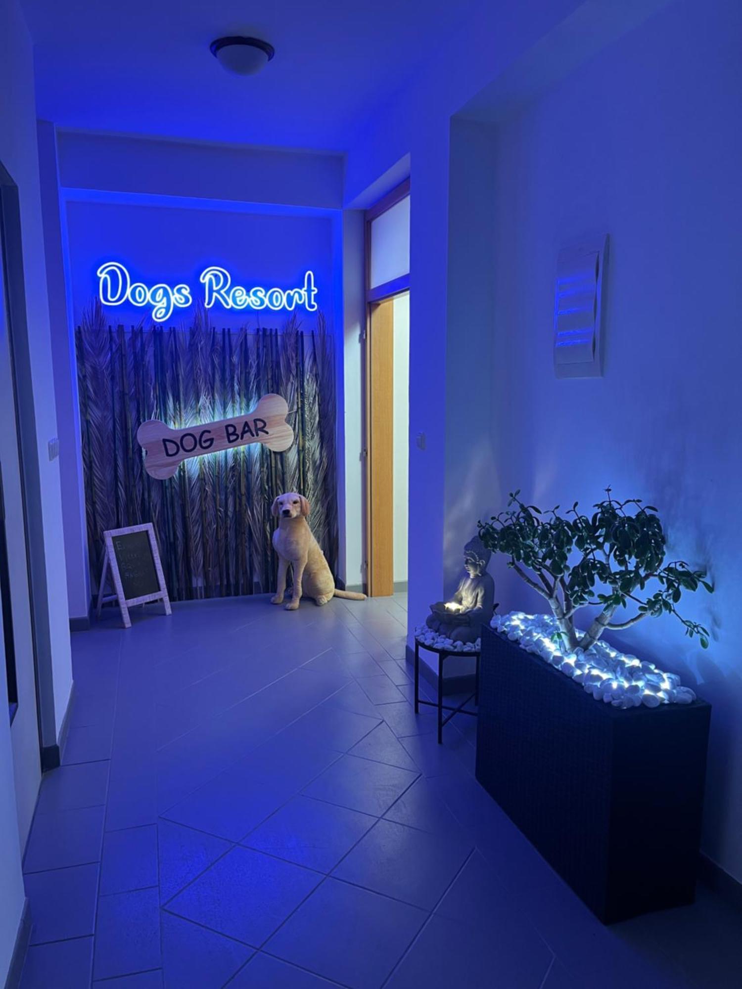 Dogs Resort And Spa Horni Bezdekov 外观 照片